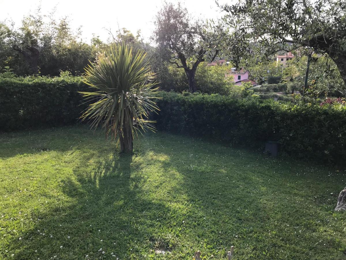 La Casa Fra Gli Ulivi Apartment เลริชี ภายนอก รูปภาพ